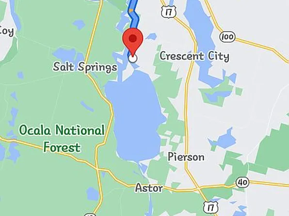 157 Meadow Dr, Georgetown, FL 32139