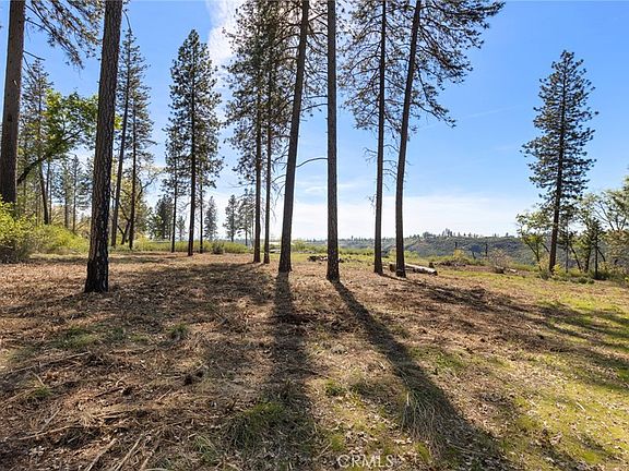 4th image of 2922 Lost Ridge Way