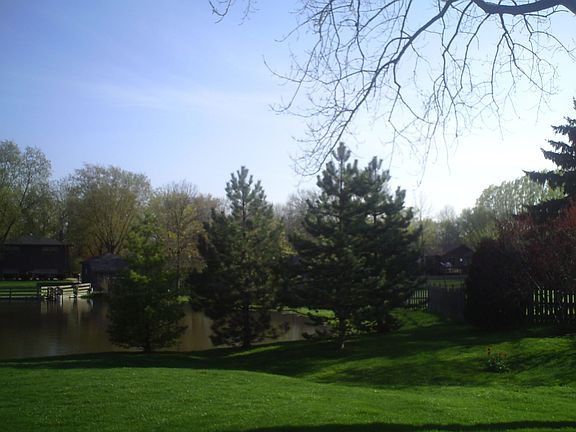 Panoramic back yard view