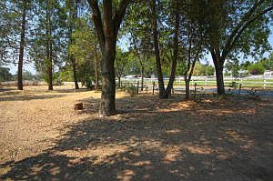 4th image of 8891 Placitas Ln