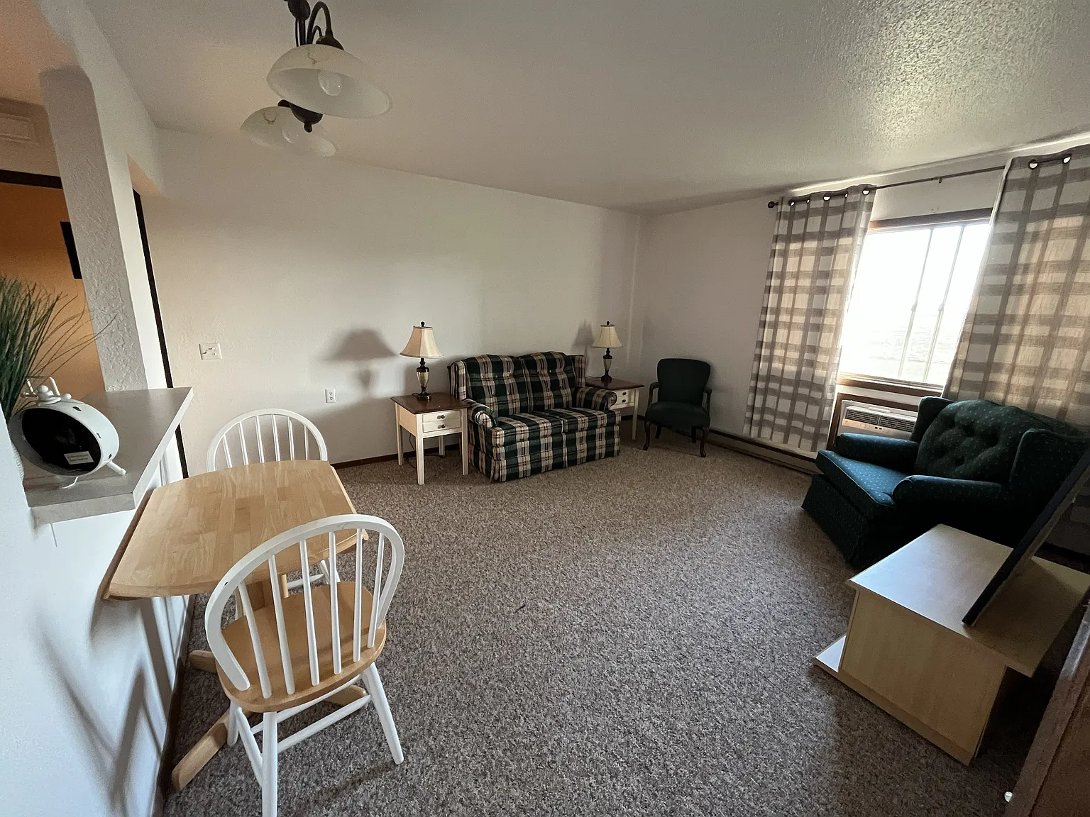 1 bed, 900 sqft, $600 — Photo 3