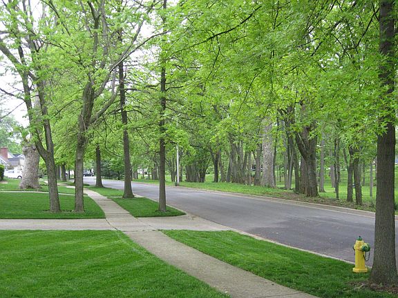Street view front yard