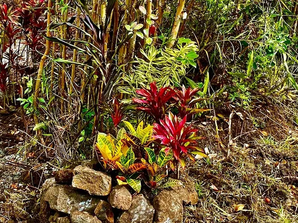 Hibiscus St Lot 7450, Mountain View, HI 96771