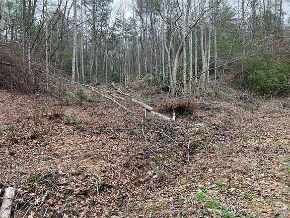 3rd image of 3 Coy Rhea Way Lot 3-D