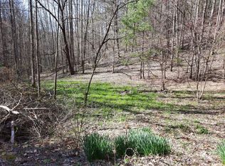 Bull Mountain Rd, Del Rio, TN 37727