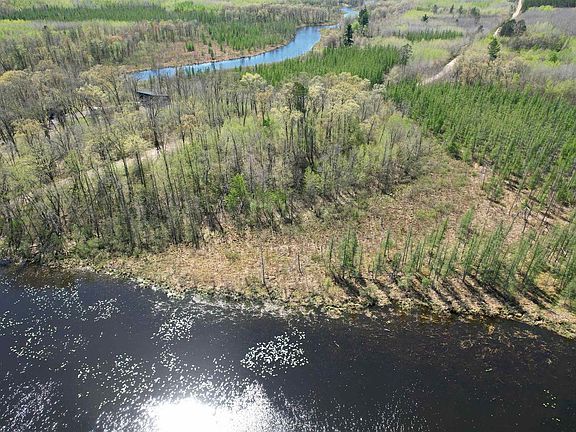 5th image of 10.95 Acres Dilly Lake Road
