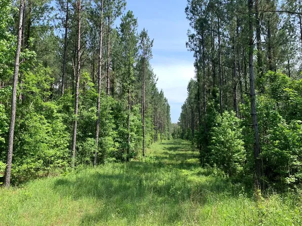 Athens Trail Ne Timberlane Rd NE, Wesson, MS 39191