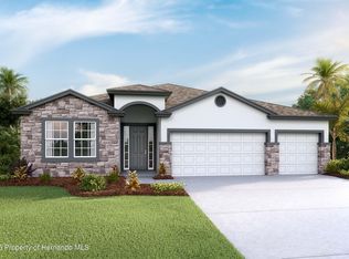 11355 Curio Dr, Brooksville, FL 34613