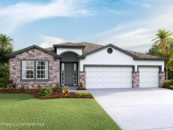 11306 Curio Dr, Brooksville, FL 34613