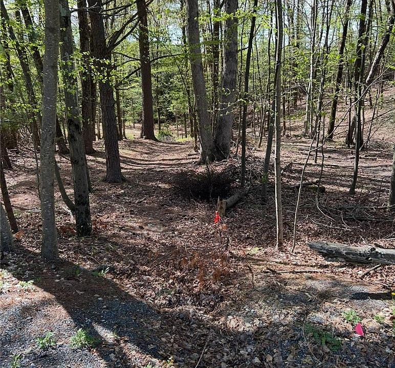 2nd image of Tiger Lilly Ln