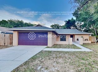 11301 Hollyglen Dr, Tampa, FL 33624