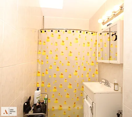 Rented by Alonzo Propertie NYC LLC | media 14