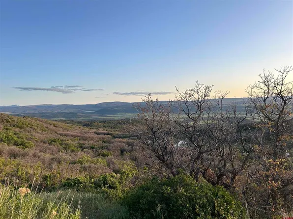 TBD Long Gulch Road, Crawford, CO 81415