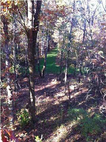 2nd image of 0 Old Hwy #51
