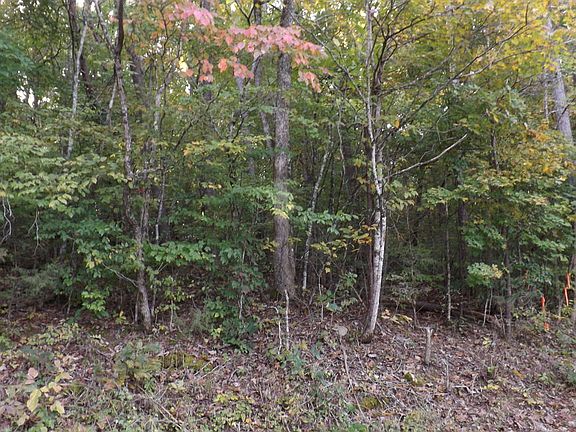 4th image of Lake Ln