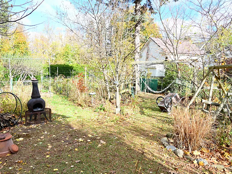 Backyard in Fall