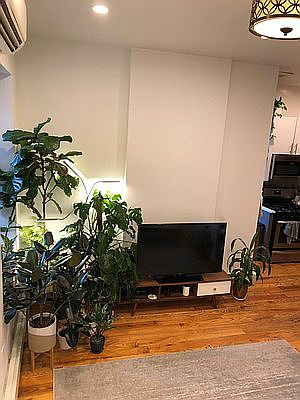 4th image of 736 Washington Ave #1B