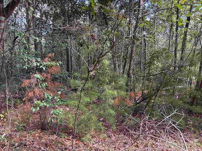 Sweetwater Ln, Tallahassee, FL, 32311