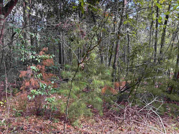 Sweetwater Ln, Tallahassee, FL 32311