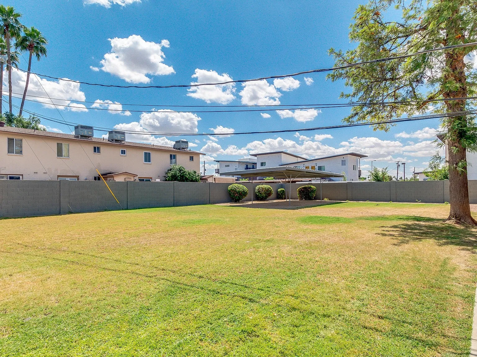 The Yardz — Photo 3