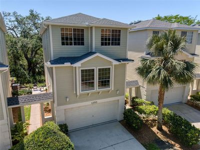 1353 Curlew Rd, Dunedin, FL, 34698