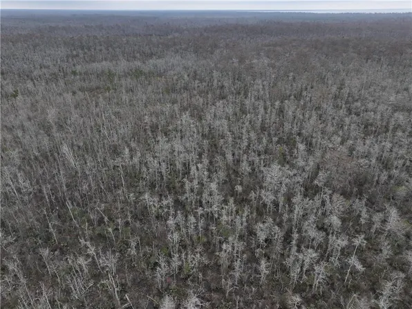 0 Lower Rome Rd, Springfield, LA 70462