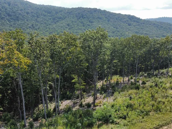 LOT 229 Highgrove Dr, Talking Rock, GA 30175