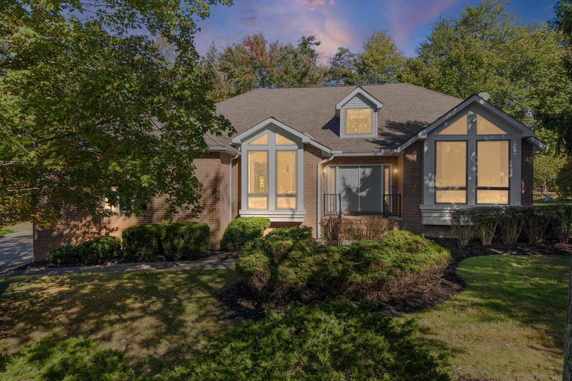 next background image