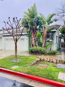 252 Shoreline Dr, Pittsburg, CA, 94565