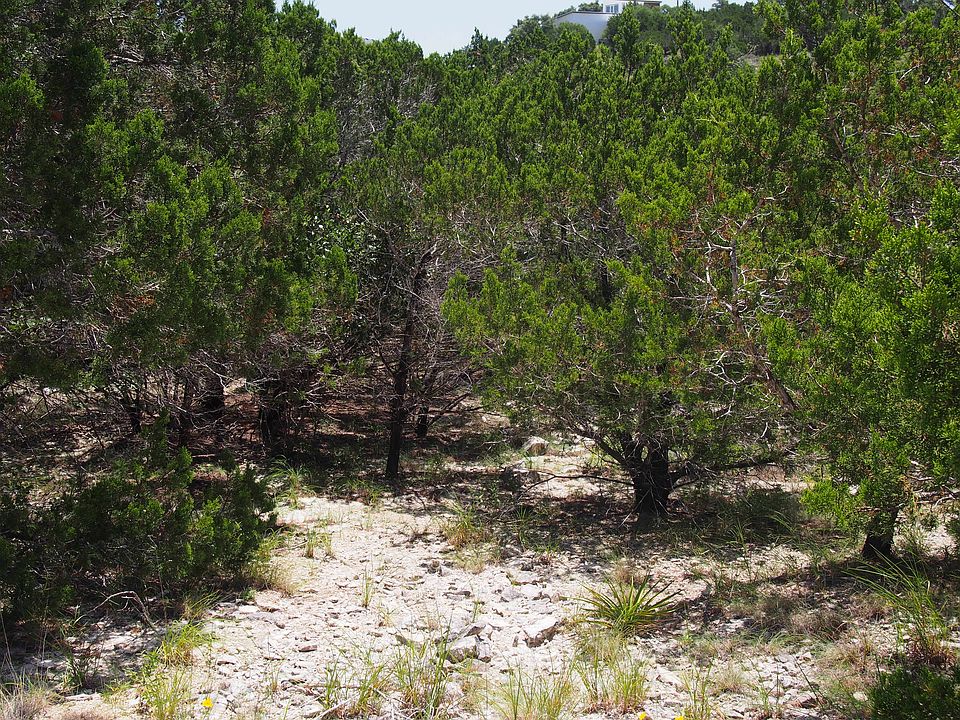 1st image of 10603 Creekwood Circle