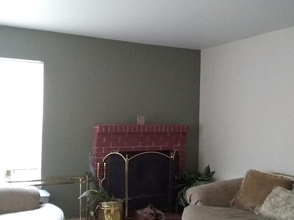 Living room and fireplace
