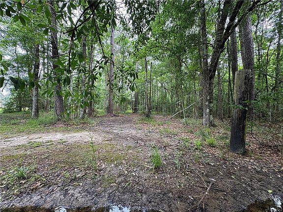 4th image of Woodland Dr
