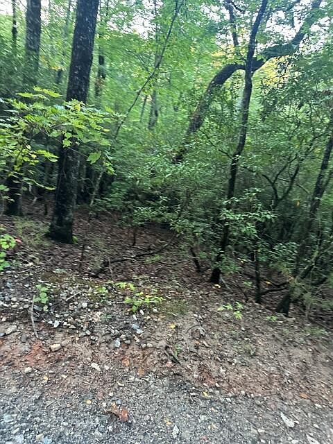 1st image of Lots 3&4 Amicalola Woods Rd