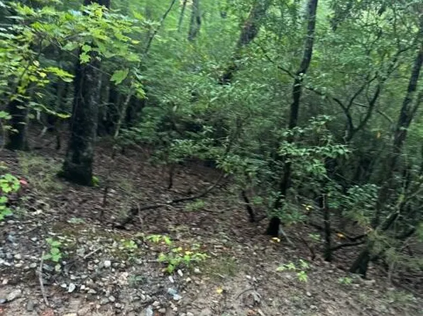 Lots 3&4 Amicalola Woods Rd, Dawsonville, GA 30534