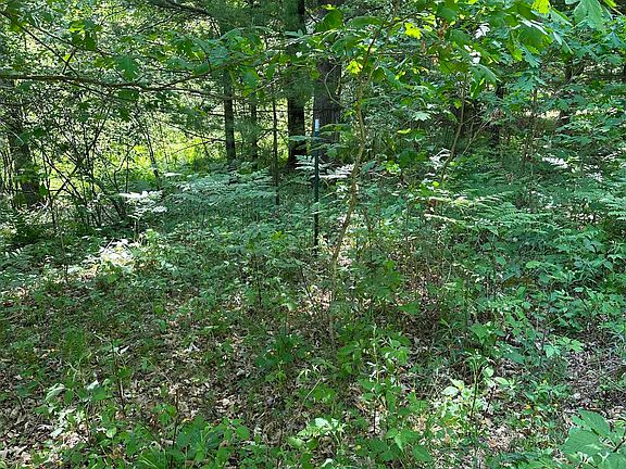 5th image of W Ludington Dr