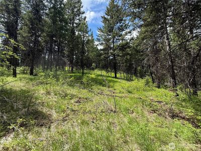 0 Knob Hill Road E, Republic, WA, 99166