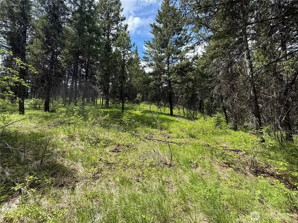 0 Knob Hill Road E, Republic, WA 99166