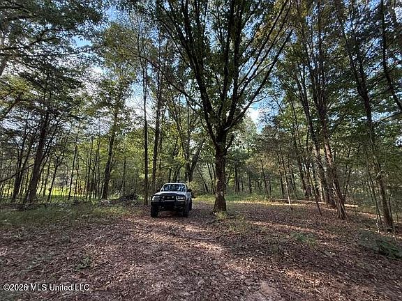 5th image of Wildcat Bottom Rd