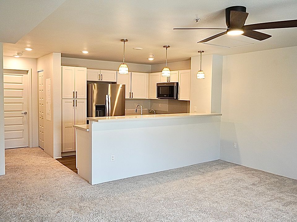 Living Room and Kitchen
