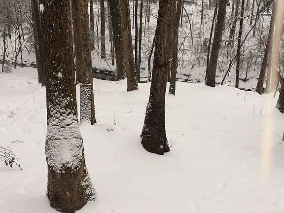 Backyard overview from deck
