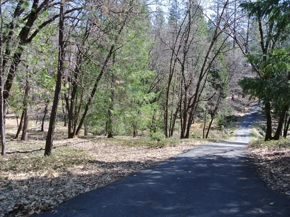 6705 Nugget Dr, Foresthill, CA 95631