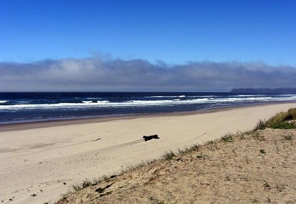 Tierra Del Mar Beach