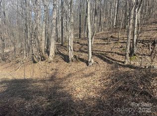 14 Lower Trillium Ln, Mars Hill, NC 28754