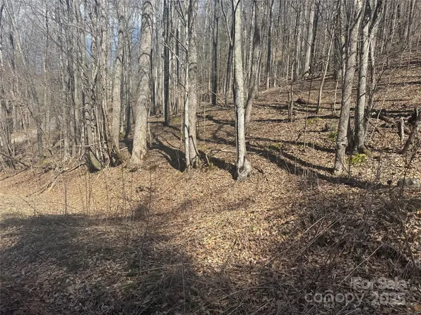 14 Lower Trillium Ln, Mars Hill, NC 28754