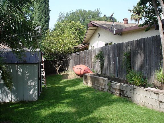 Side yard with lemon tree