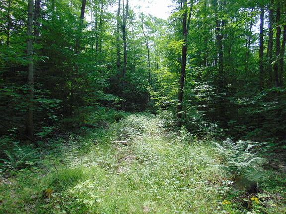 2nd image of 12131 S Chesbrough Lake Rd