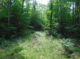 12131 S Chesbrough Lake Rd, Newberry, MI 49868