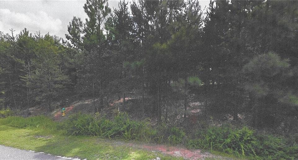 1st image of 141 Priscilla Dr