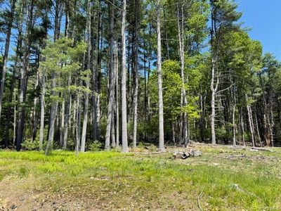 Lot 48.3 & 48.2 High Road, Glen Spey, NY, 12737