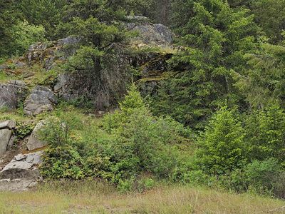 279X Deep Lake Boundary Rd, Colville, WA, 99114